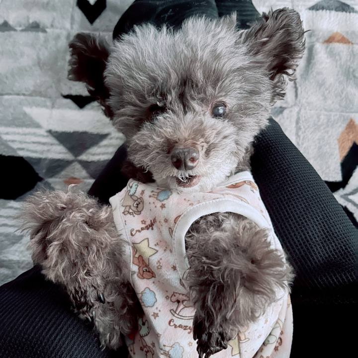 47e60397 83d0 48c2 b0d0 9d6bf987119c 1669205006186