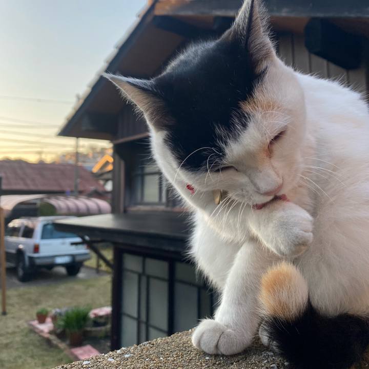 47e60a03 4fbb 46fe 857e dd25f9667da4 1638965463674