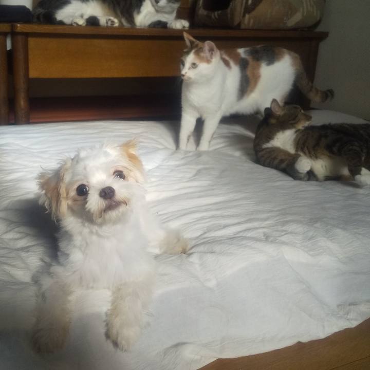 47e61146 ad9a 4f28 87b1 a3240755c2ab 1693262353164