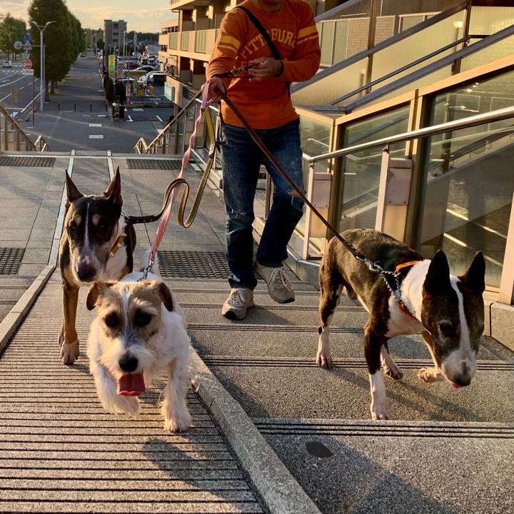 47e66367 aa35 42cb b189 9303f60f30f2 1603532226792