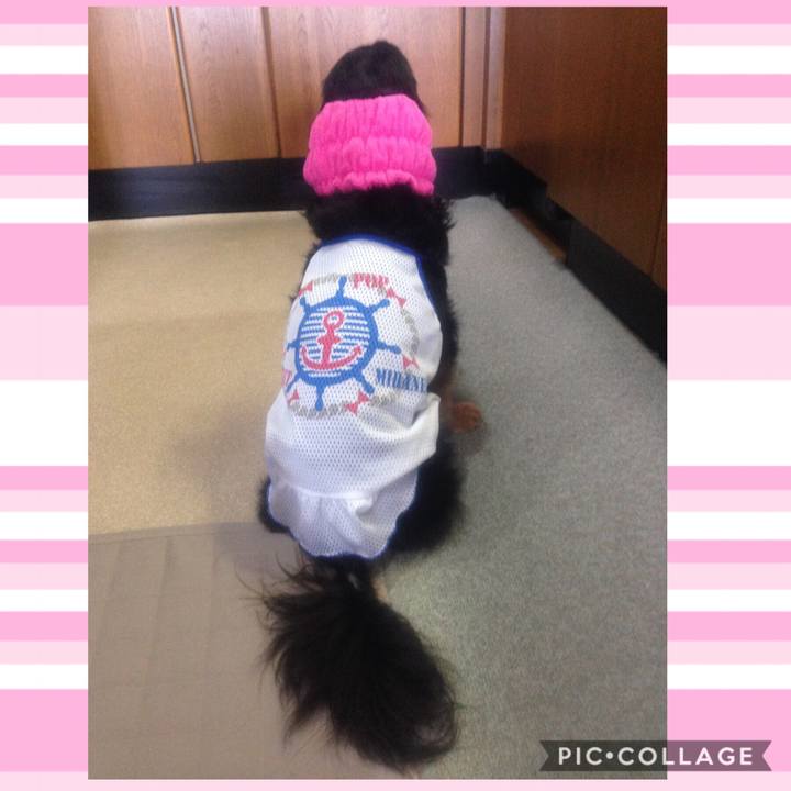 47e68500 0c16 4c20 bc76 fb4739f1c692 1562992898497