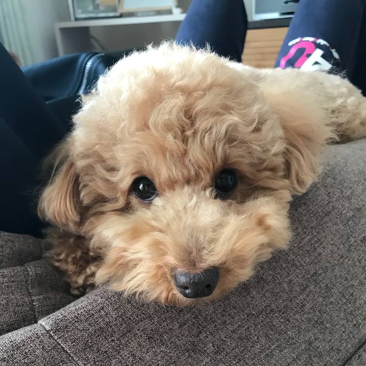 47e6d5fa 27a2 4e32 8b73 023506a69627 1518407413549