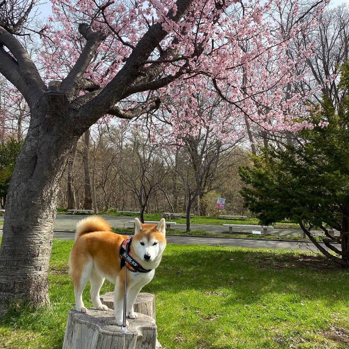 47e777dd d648 40ae bdbe 19a1adf865dd 1682045523610