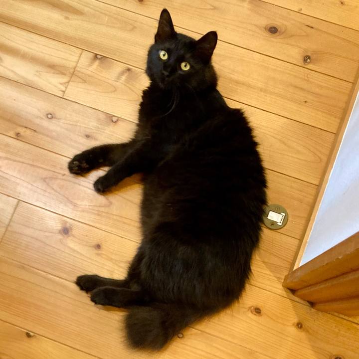 47e7cd85 5983 45e7 9d5d 477a085c69fc 1720482884414