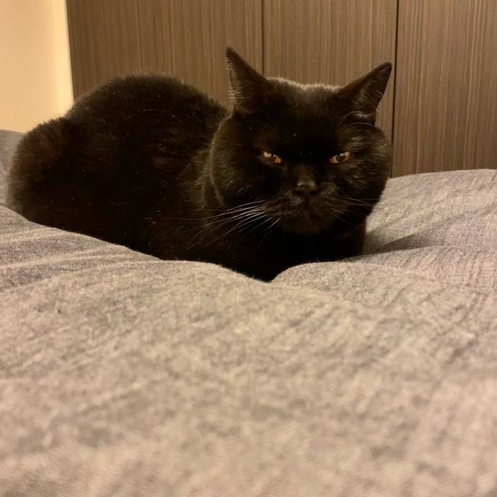 47e7d57e 240f 457d 9d84 720bcfdd1aba 1710937762106