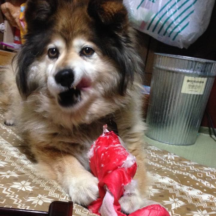 47e7dffd 34cd 408f a584 8d9dad093b7b 1625896727521