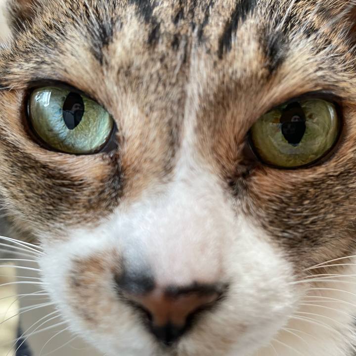 47e81267 065a 4e43 96b3 7a8c2439b95a 1644024836026