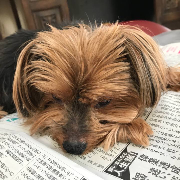 47e829b6 c3fd 4dd8 876a 8e057bb9855e 1514501499406