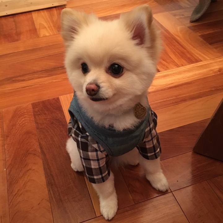 47e841a0 d5e4 4d9f 9960 cac8219e691d 1548679815072