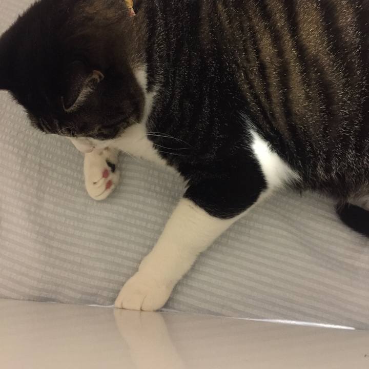 47e86cc3 dec0 46d8 9490 ef923029e27c 1540129018269