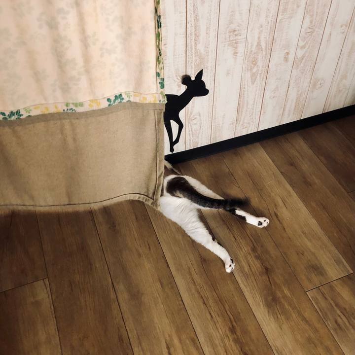 47e8853f dfa9 4676 b446 575b7e20249a 1657607811076