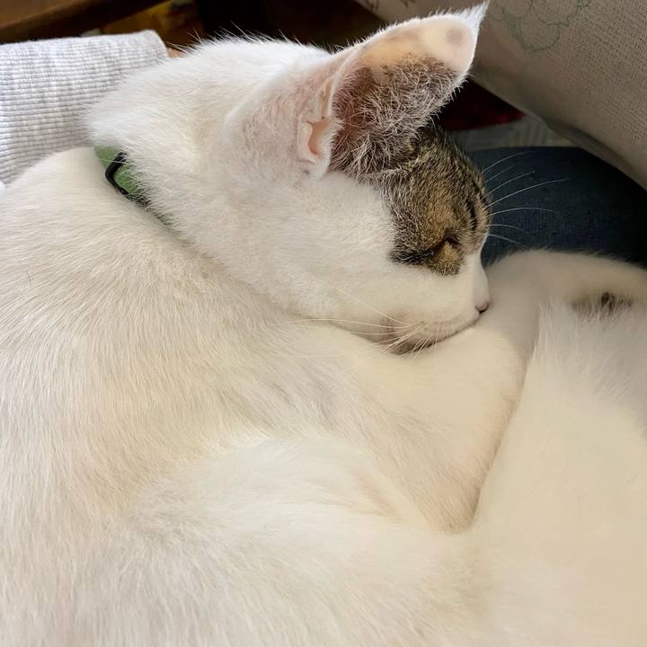 47e8d844 5f09 4de2 9a5a 253fe5764bf7 1665367261949