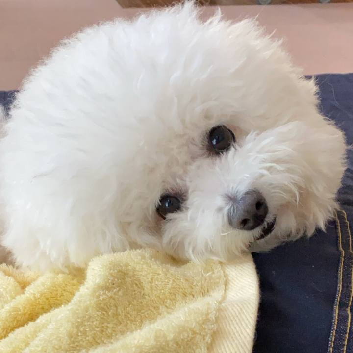 47e8ec40 e4f5 41e9 a065 0fd4499ba042 1613806404894