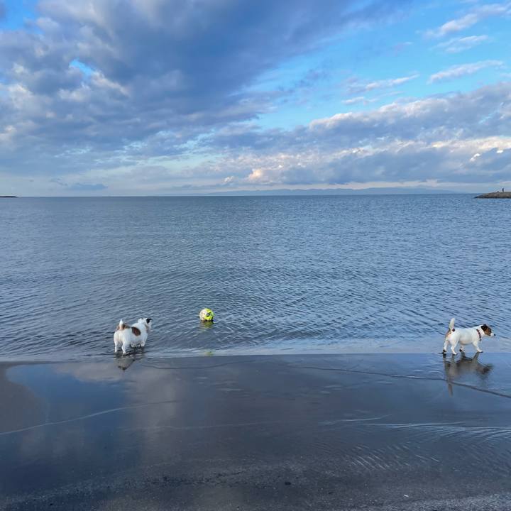 47e8ee3a 11ab 4d57 b51d aa2d1ffe4b84 1731281902050