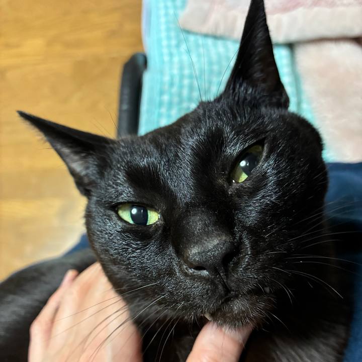 47e91b5c f1b4 4e2b a6ee 75e1922836b3 1744206201702