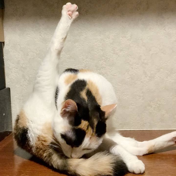 47e923d4 8c94 4d44 844d cf88f7164f7d 1537800525330