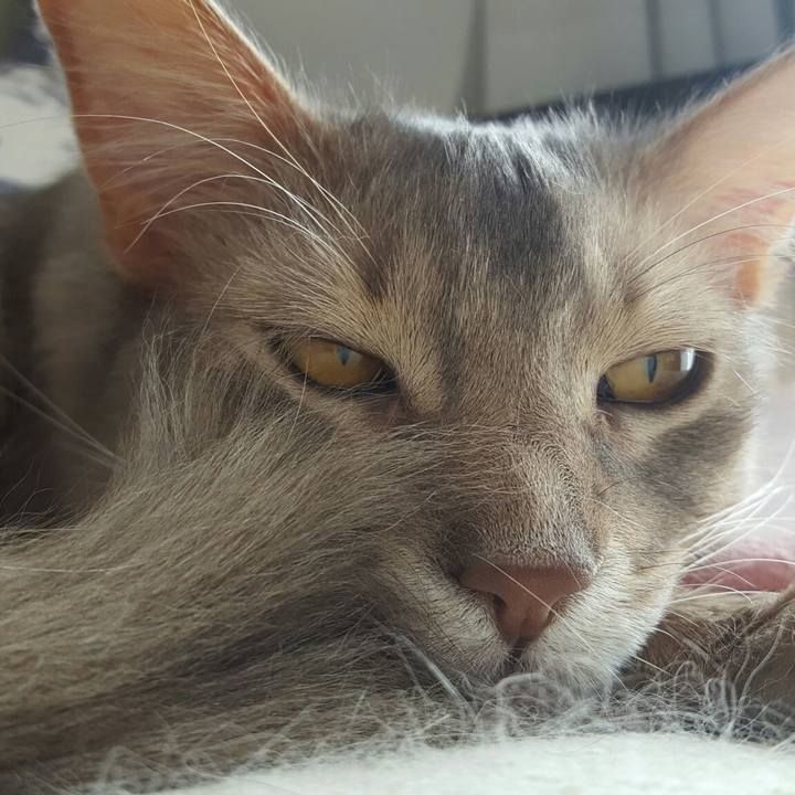 47e92cc9 b05f 428e 9521 4346b17ec4cd 1554010270345