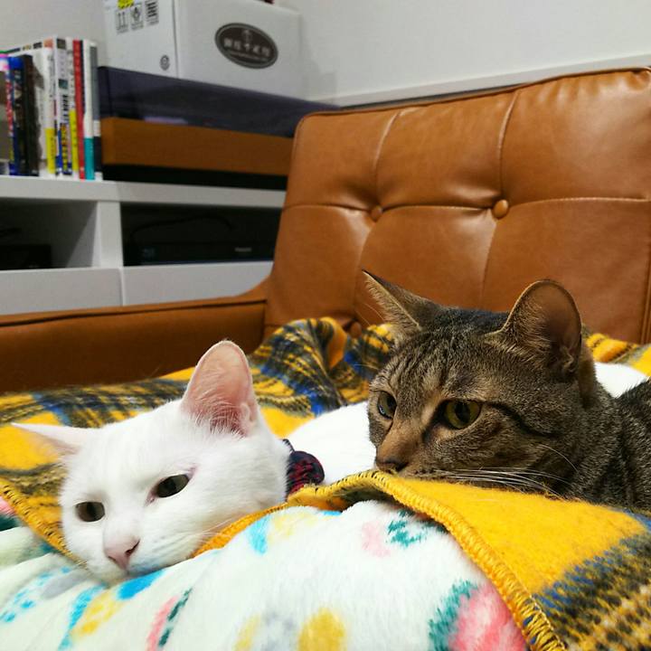 47e93e96 3847 4237 80a8 e8c83fef8a2d 1521556753464