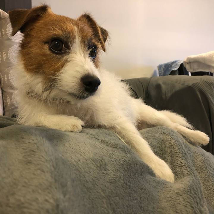 47e980fd c43d 4753 b5d5 1bc6076346d1 1599386335191