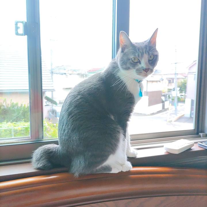 47e9c23a 5f97 4c4c 8864 3cd6a170aa47 1662854832543