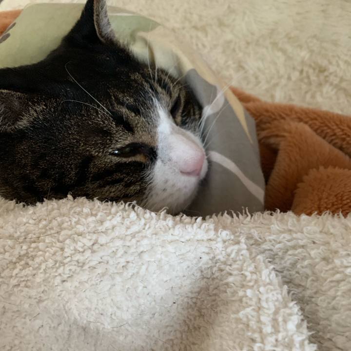 47e9d844 d22e 4afa be89 9777453f7160 1544488434744