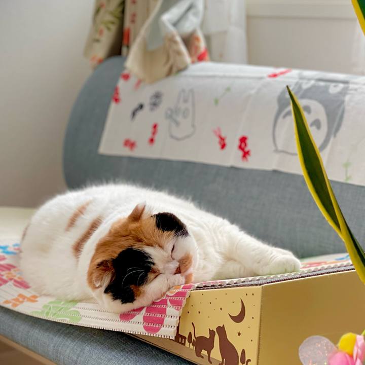 47ea03f2 621e 431a 8f88 5c0599614738 1658538898223