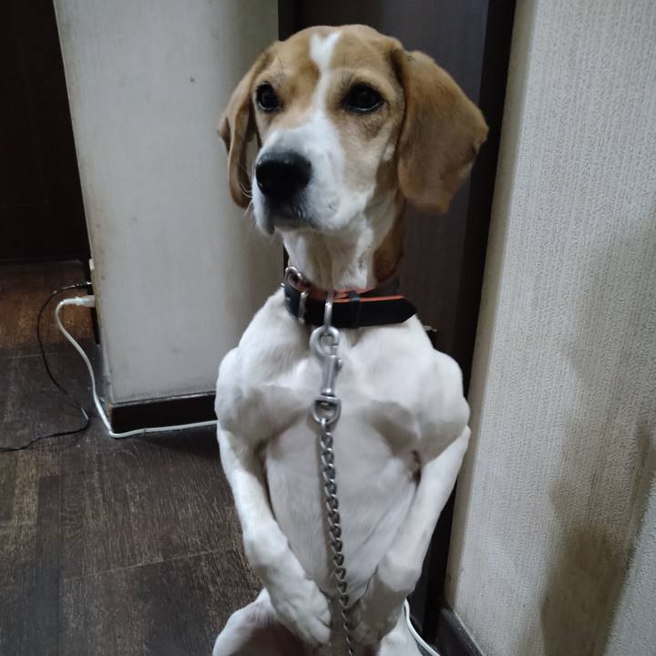 47ea07b6 dd86 4df4 a13c 4e8a8f71d9b0 1641644425323