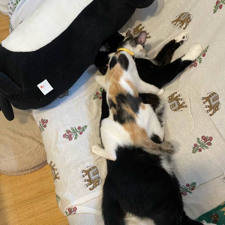 47ea183e 7f1a 4675 9582 8224e1037677 1661932735626