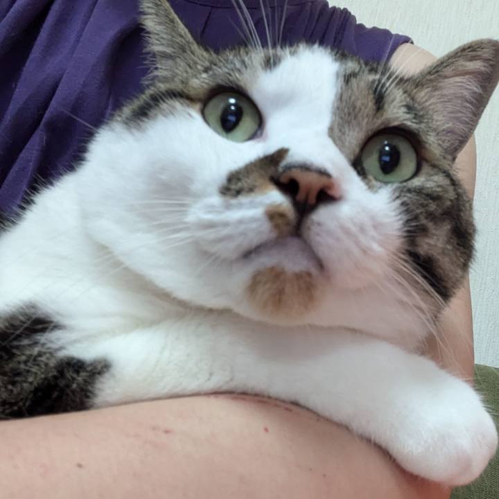 47ea22d1 2983 4ecc bcbc 4a799d584ba6 1722589806163