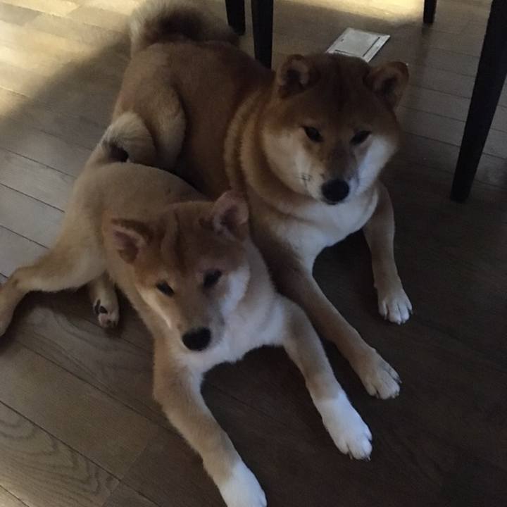 47ea2ec5 ff25 4181 b0b1 d91961cd44f4 1536575795372