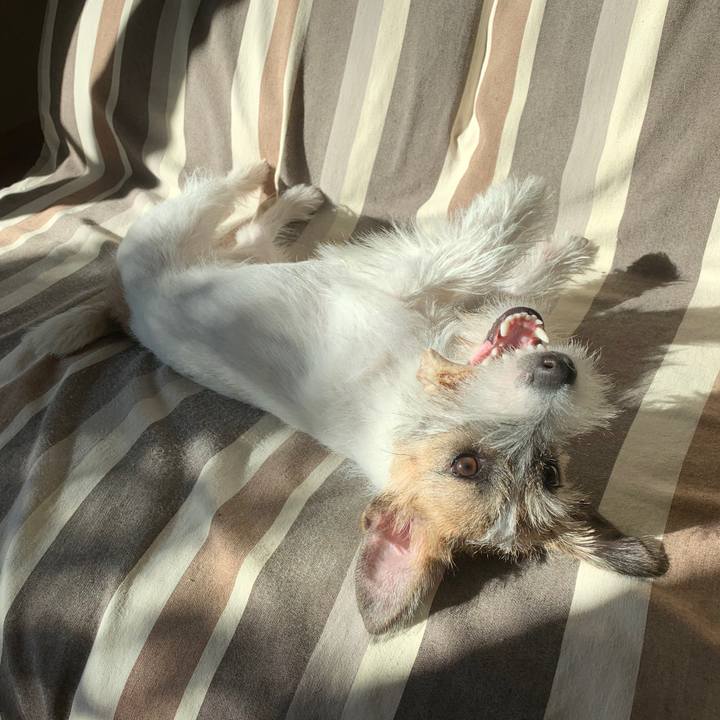 47ea37e2 ad1e 42a8 9538 eef9edf14e00 1574296512654