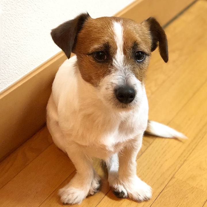 47ea47f2 468f 4fec 8499 7aaf50ac6aa9 1518097268537