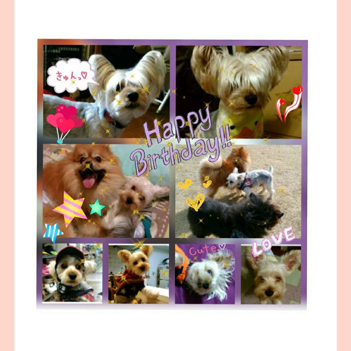 47ea735d 0e7d 48de a760 69389024fb18 1513675056602