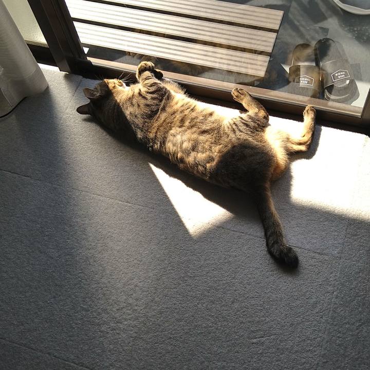 47ea8558 080c 4773 a940 aca99c7406c7 1647060648381