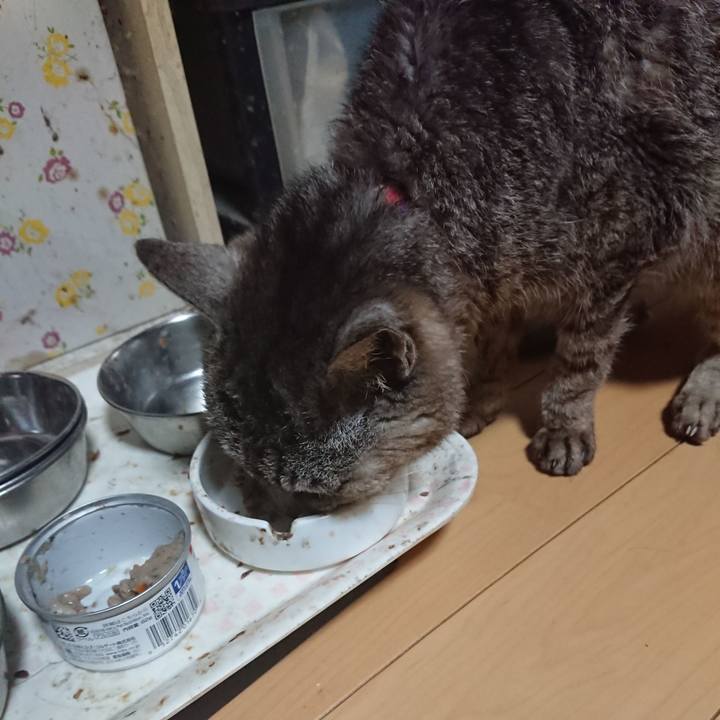 47eaa1fa f38a 4fb9 8784 f1bc61ff9fd3 1596941748883