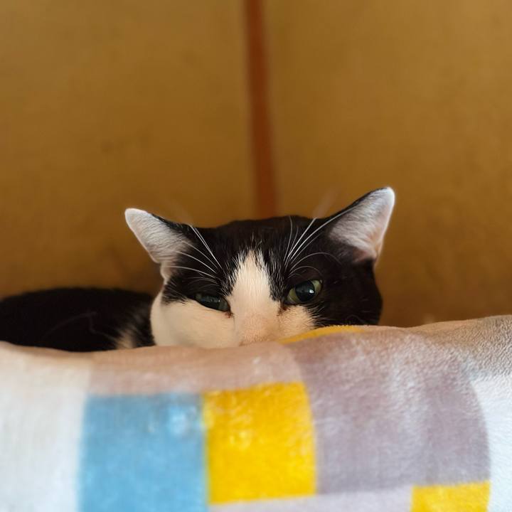 47eaa721 35d6 4aa0 8a65 3c366df407fd 1700187567250