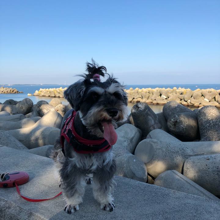 47eae397 420b 4547 adb2 cd4b98ab33e6 1568425637184