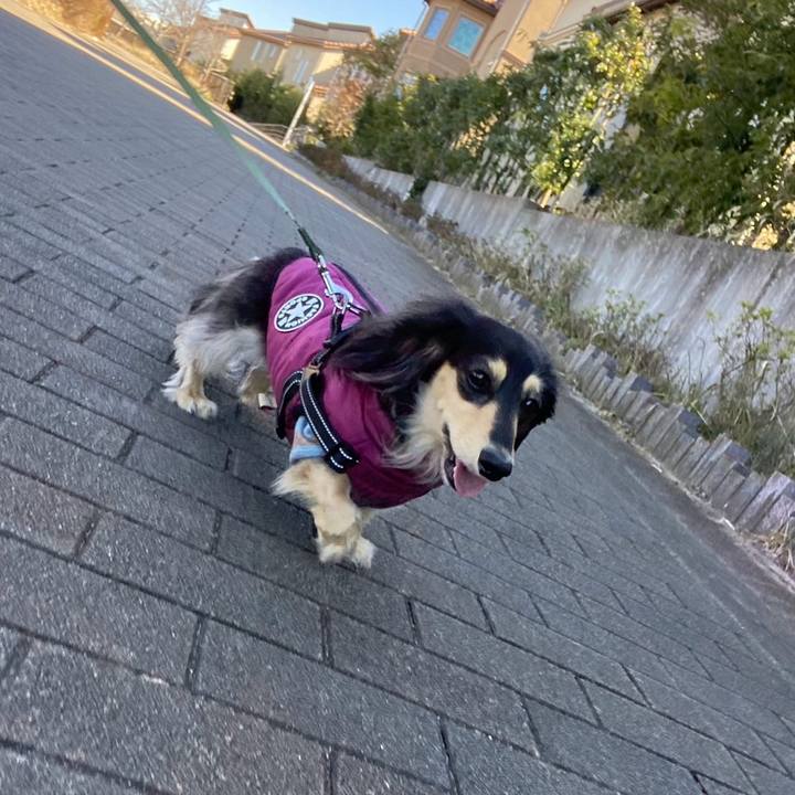 47eaf189 0f4e 4dc0 a682 90119d3b8097 1740291093500