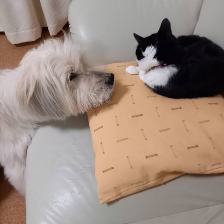 47eb0349 7df2 4fd9 910f ef702bf2da80 1631444980551