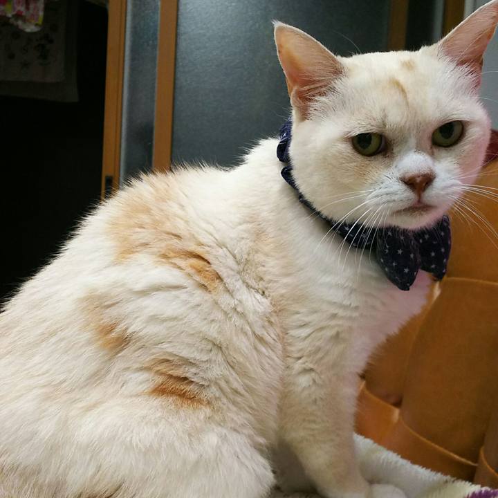 47eb0a32 a741 4459 a90c 07b4016e3355 1538664929516