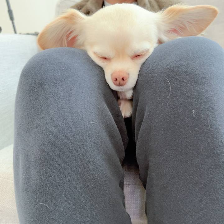 47eb412d 5b25 4f4c 981d b736982b0961 1710559584212