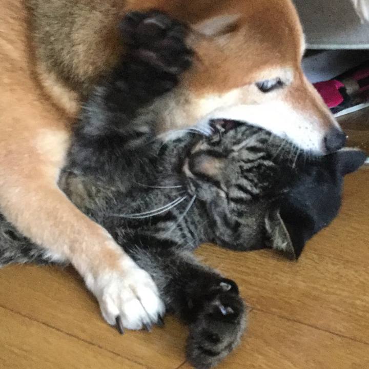 47ec0454 e271 4571 a278 f9a9ed5cf061 1565668059568