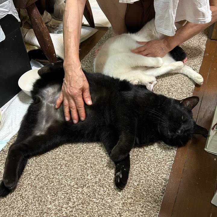 47ec3908 9a12 4692 b463 b909d6aa33d0 1754397179546