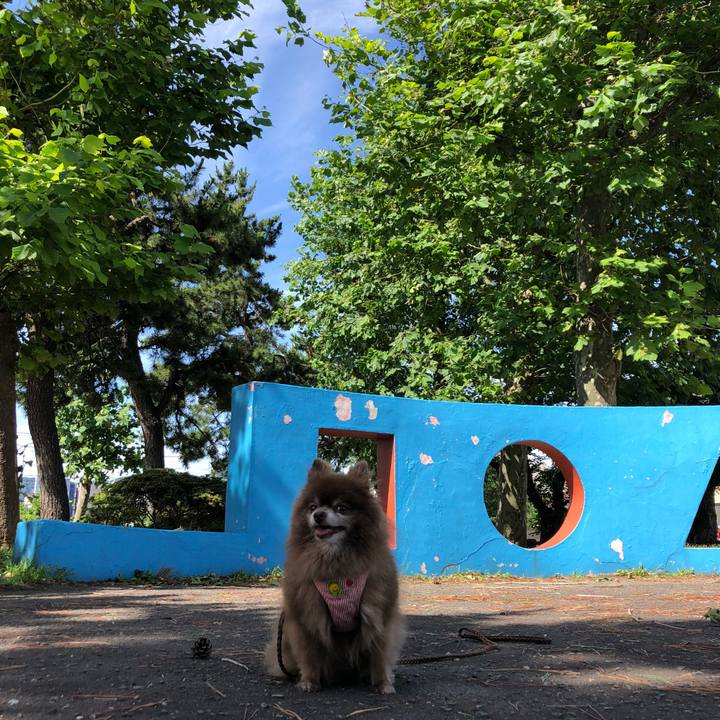 47ec4163 58c5 4d42 9605 c1b6400441b5 1596848853604