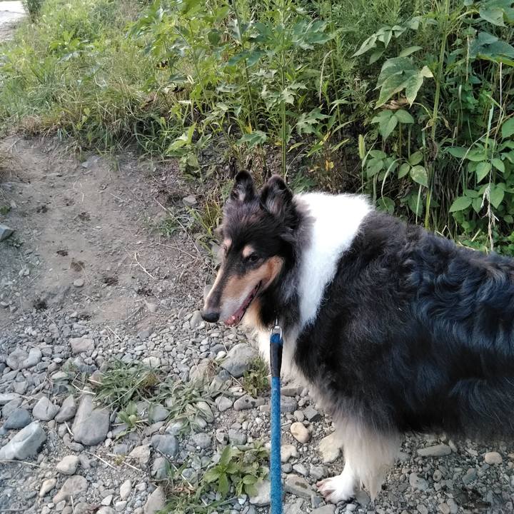 47ec43be 6719 4a30 bff1 69027be19f79 1531917854863