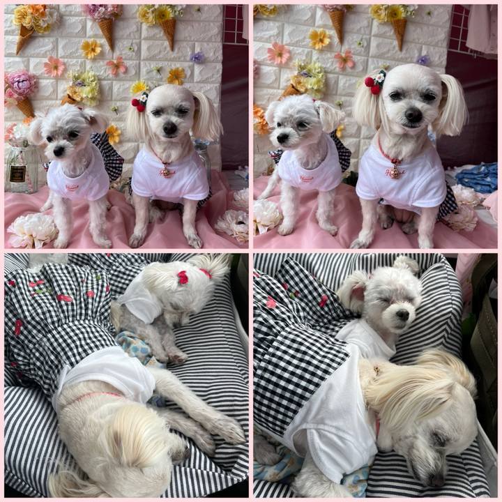 47ecc056 f870 45a3 b466 cffc9ffc6691 1715514565593