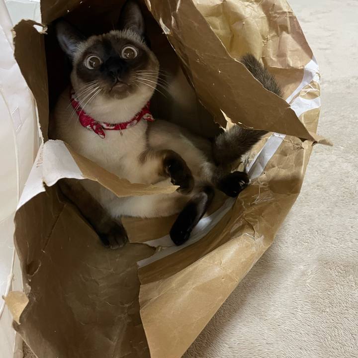 47ecc7a8 ee7b 4c5c bf1b ee9fd4feffd0 1705780889743