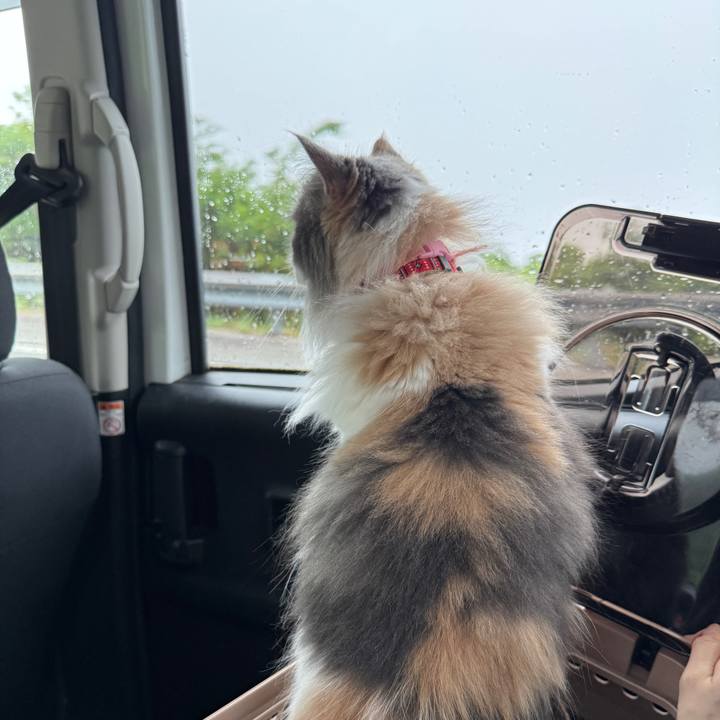 47ed18cf 669d 4795 a63d 5b6f5d2e19c8 1764692396580