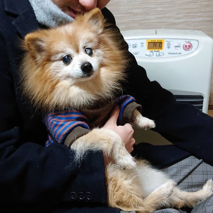 47ed2013 6f6a 41ef 8ec6 3248764baf0f 1640422083289