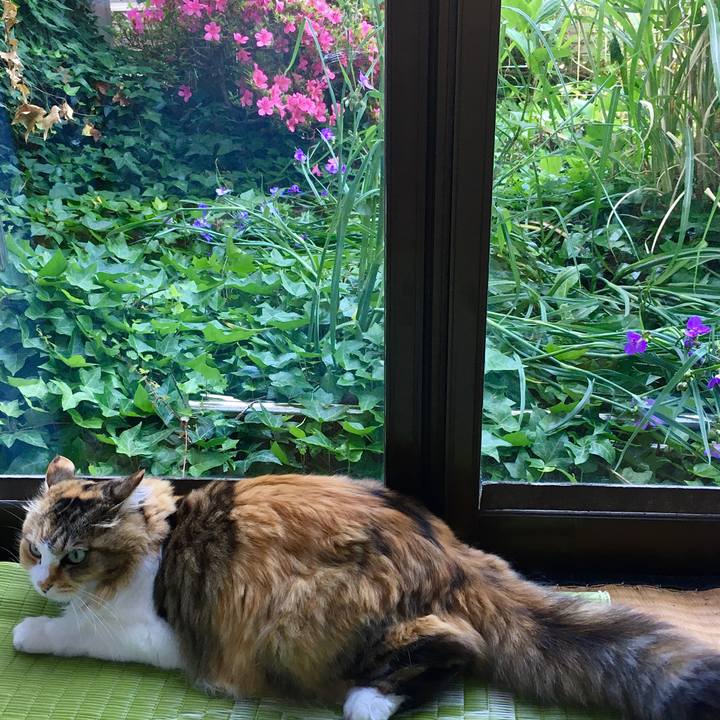 47ed3231 5253 4cfc b65d e91e111cf6df 1592282945742